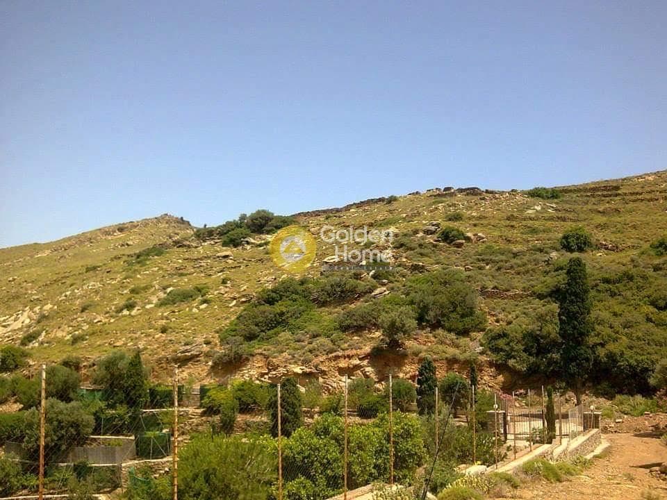 Αγροτεμάχιο στην Γαύριο, Άνδρος — Φωτογραφία 2 από 5