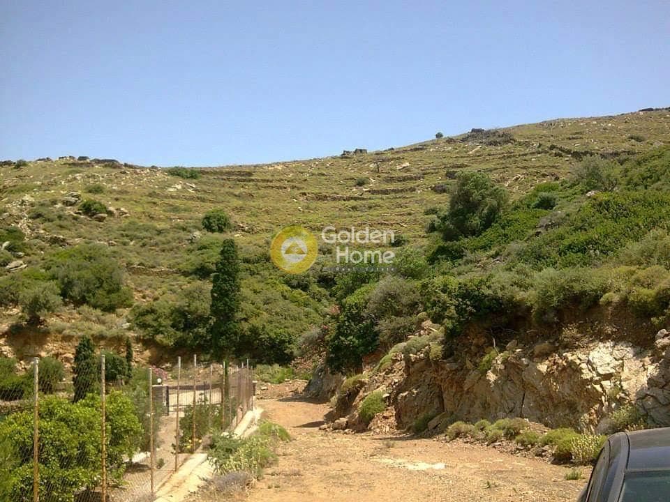 Αγροτεμάχιο στην Γαύριο, Άνδρος — Φωτογραφία 4 από 5