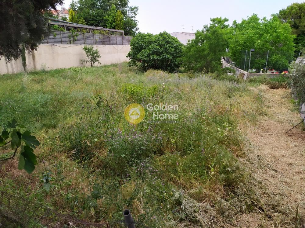 Building Plot in Anoixi, Anoixi — Photo 4 of 7