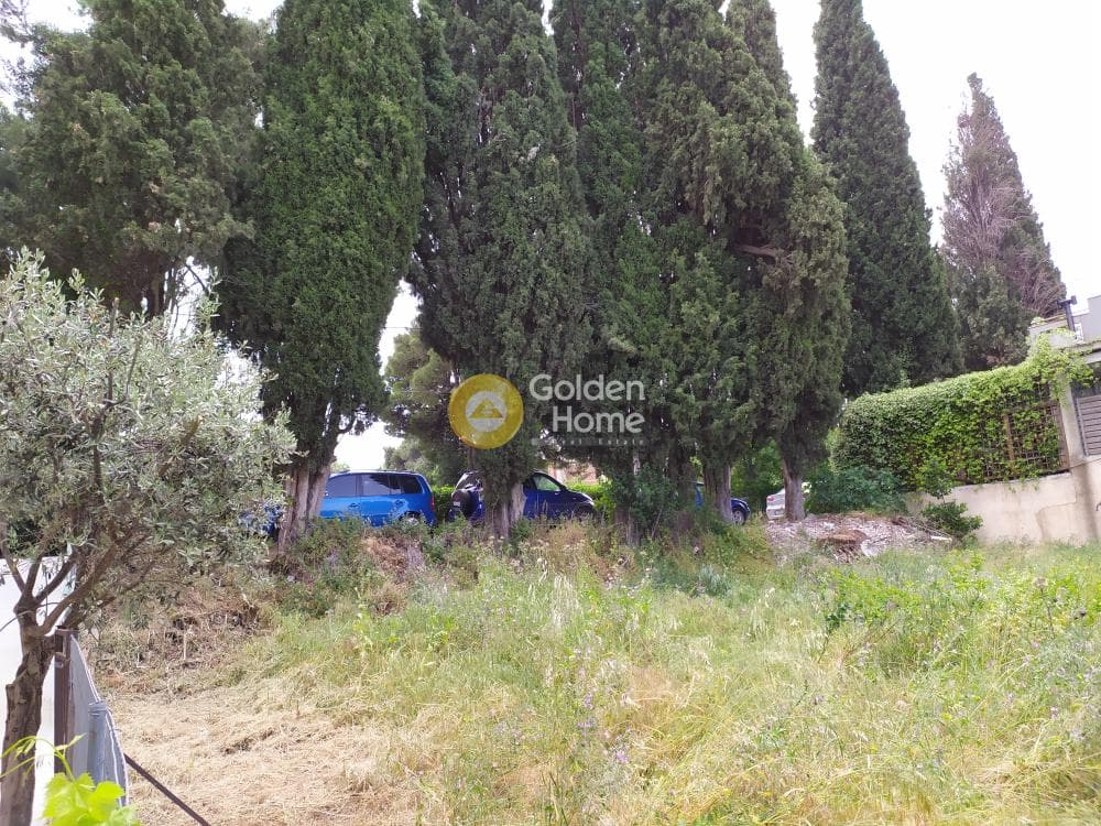 Building Plot in Anoixi, Anoixi — Photo 5 of 7