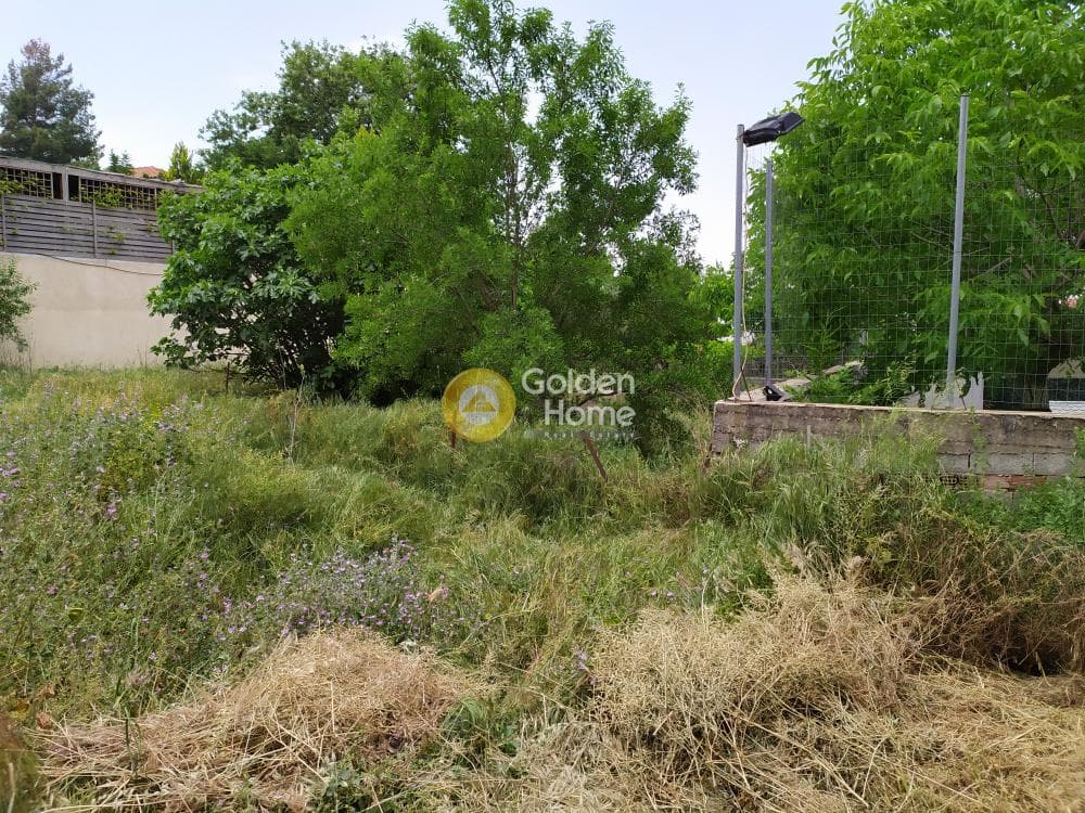Building Plot in Anoixi, Anoixi — Photo 7 of 7