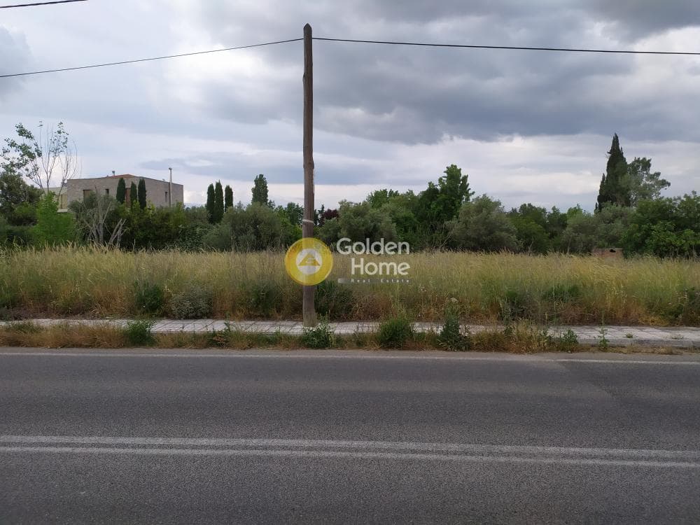 Building Plot in Stathmos Afidnon, Afidnes — Photo 2 of 5