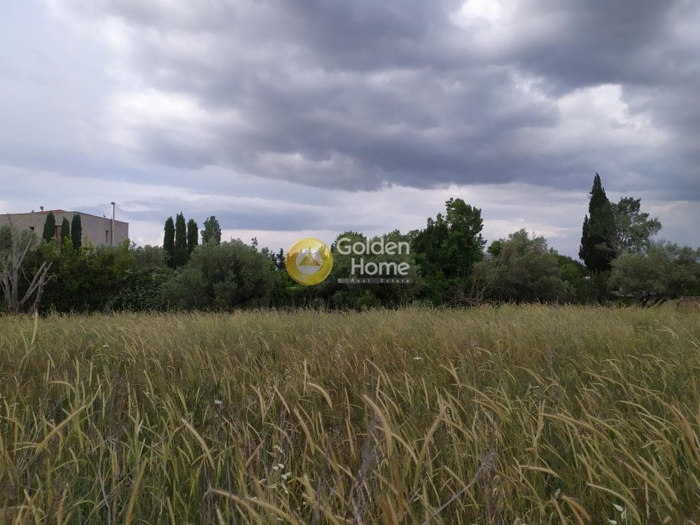 Building Plot in Stathmos Afidnon, Afidnes — Photo 3 of 5
