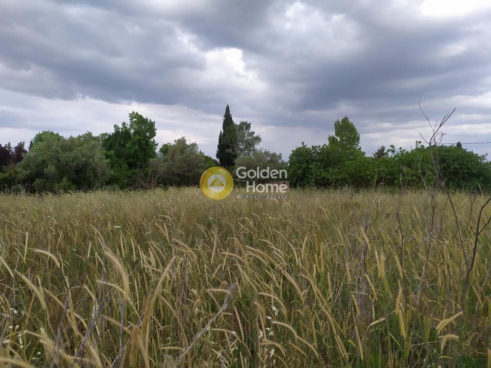 Building Plot in Stathmos Afidnon, Afidnes — Photo 4 of 5
