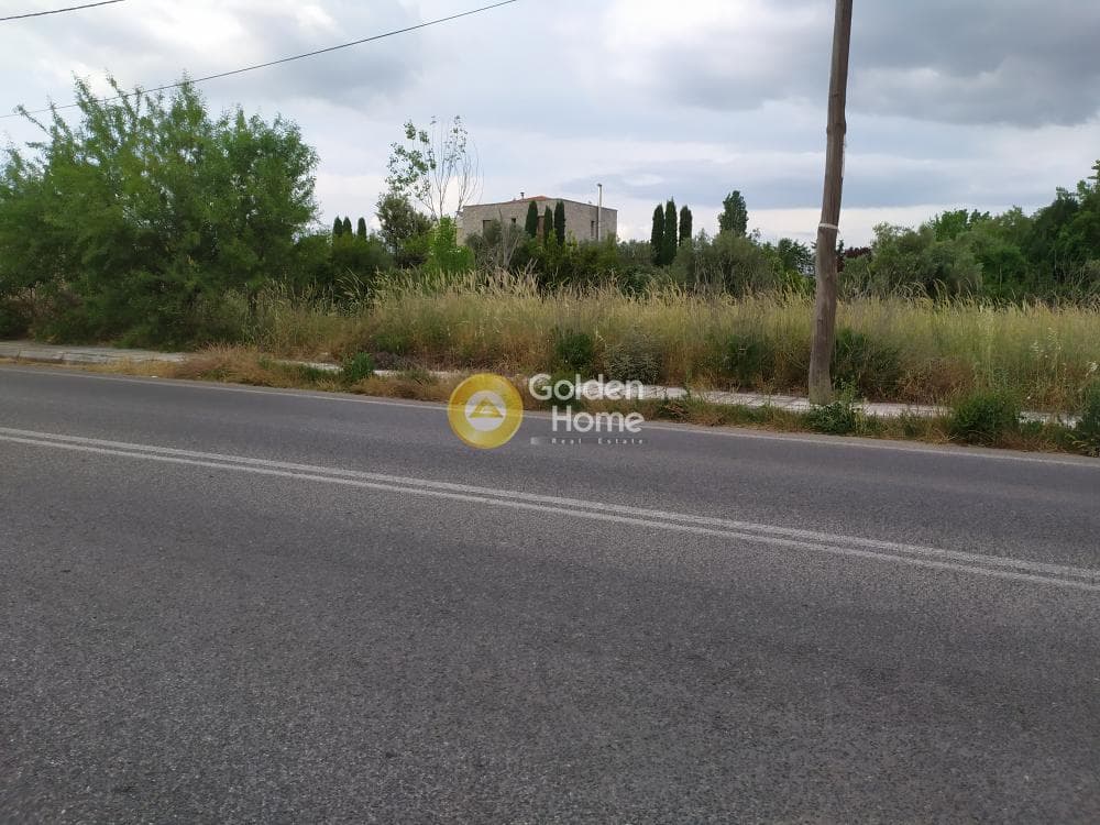 Building Plot in Stathmos Afidnon, Afidnes — Photo 5 of 5