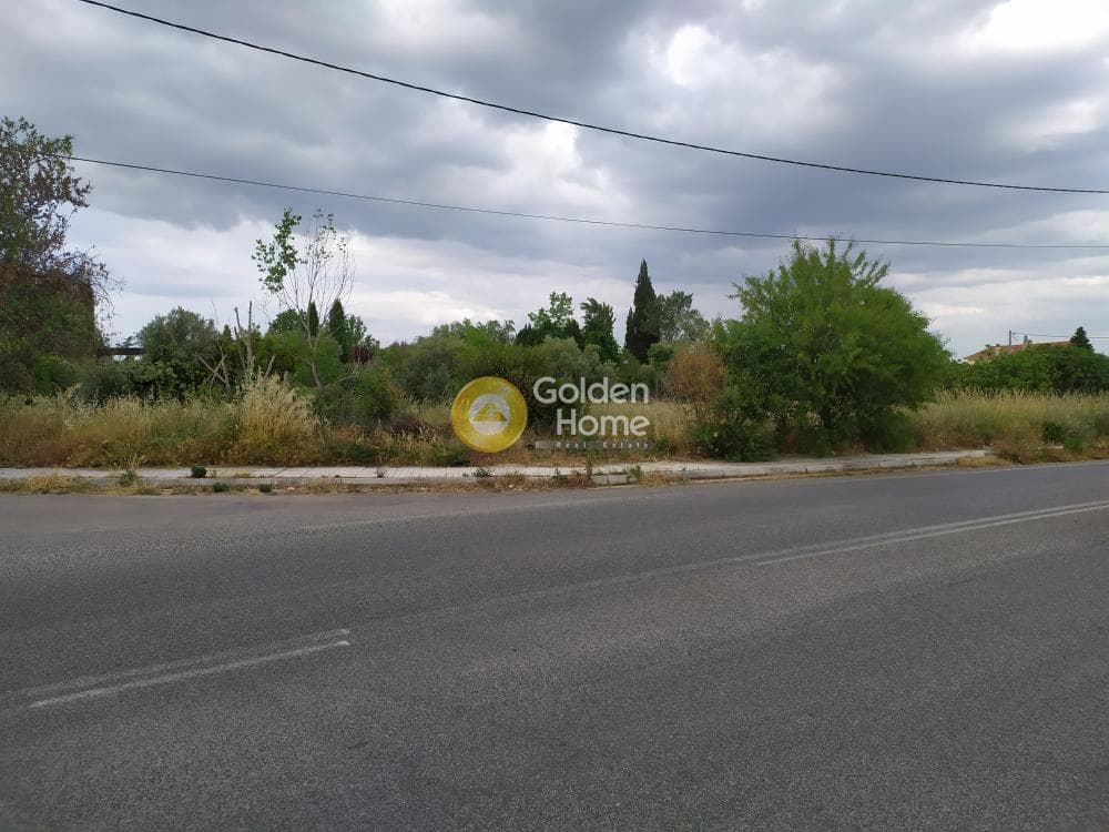 Building Plot in Stathmos Afidnon, Afidnes — Photo 1 of 5