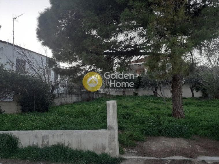 Οικόπεδο στην Ποριά, Βραυρώνα