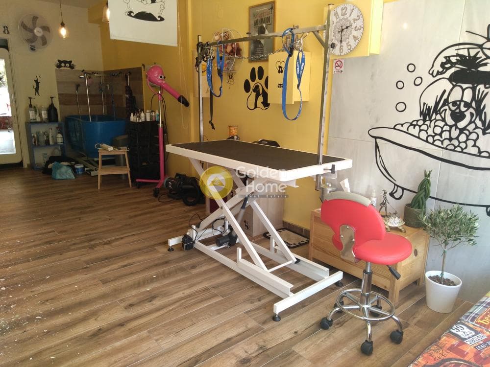 Retail Store in Thimarakia, Attiki — Photo 2 of 8