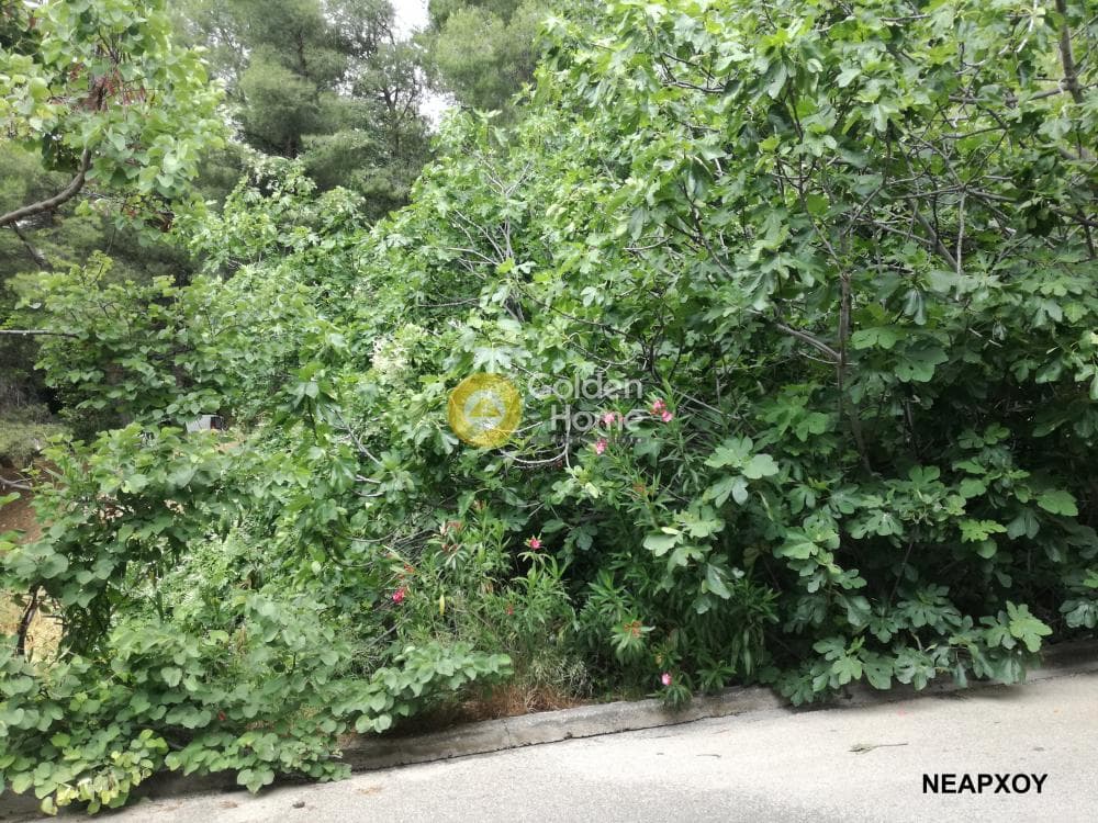 Οικόπεδο στην Νέα Κηφισιά, Κηφισιά — Φωτογραφία 5 από 5