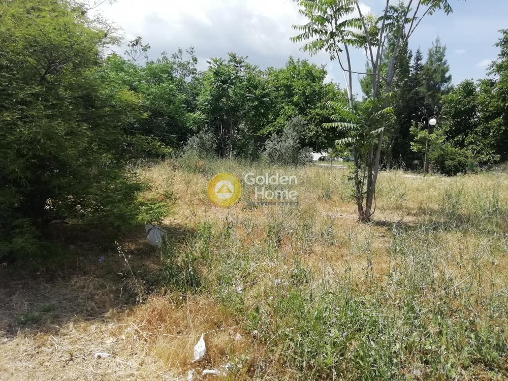 Building Plot in Mpalana, Gerakas — Photo 2 of 4