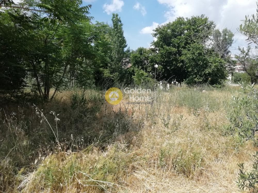 Building Plot in Mpalana, Gerakas — Photo 3 of 4