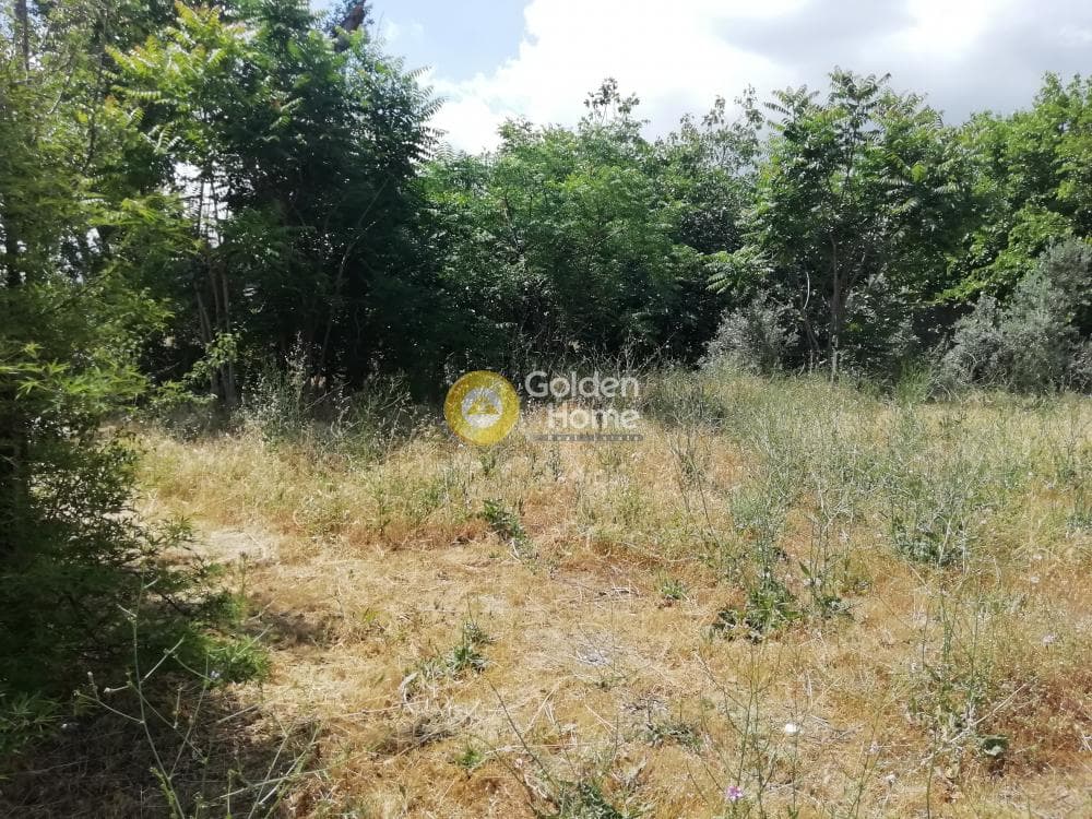 Building Plot in Mpalana, Gerakas — Photo 4 of 4