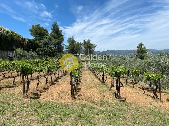 House in Nimfon, Agios Stefanos — Photo 2 of 23