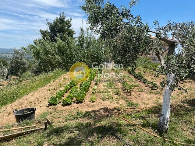 House in Nimfon, Agios Stefanos — Photo 3 of 23