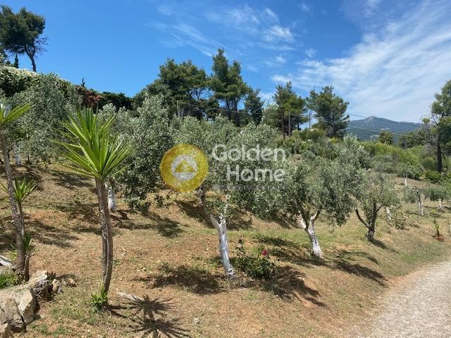 House in Nimfon, Agios Stefanos — Photo 22 of 23