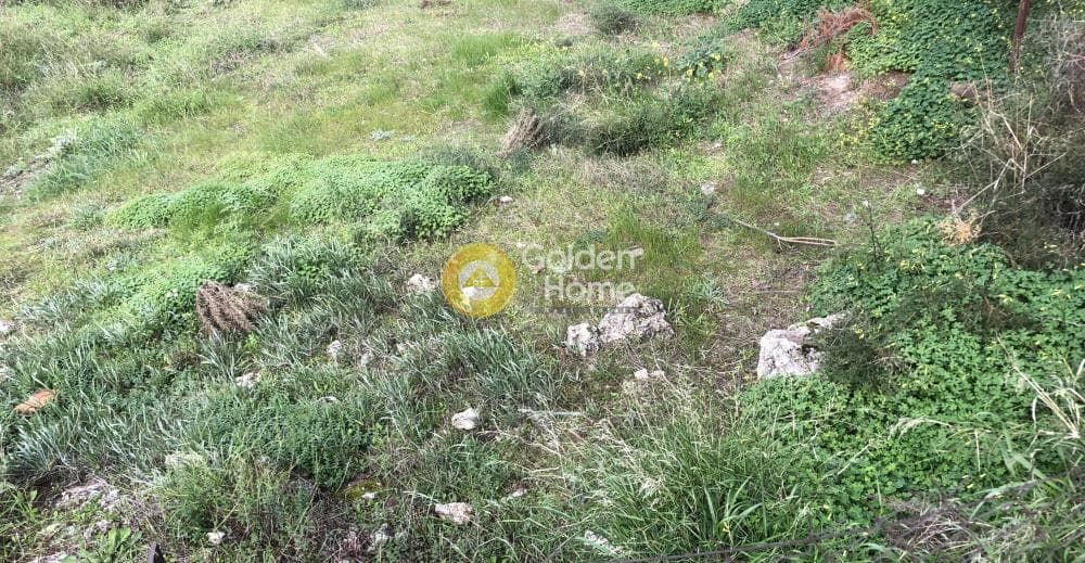 Οικόπεδο στην Ελιά, Μύκονος — Φωτογραφία 2 από 3