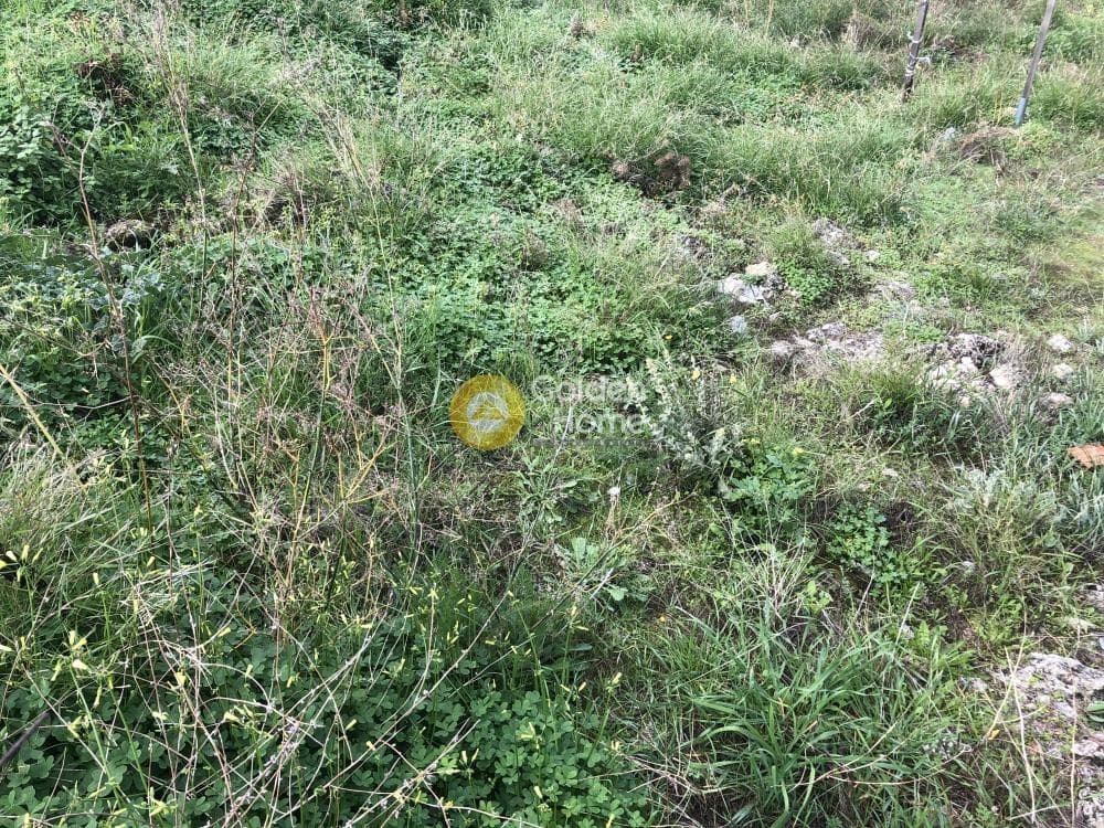 Οικόπεδο στην Ελιά, Μύκονος — Φωτογραφία 3 από 3