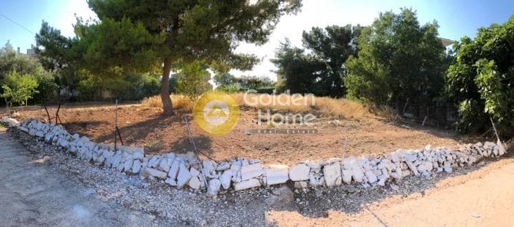 Building Plot in Vorineza, Artemida (Loutsa)