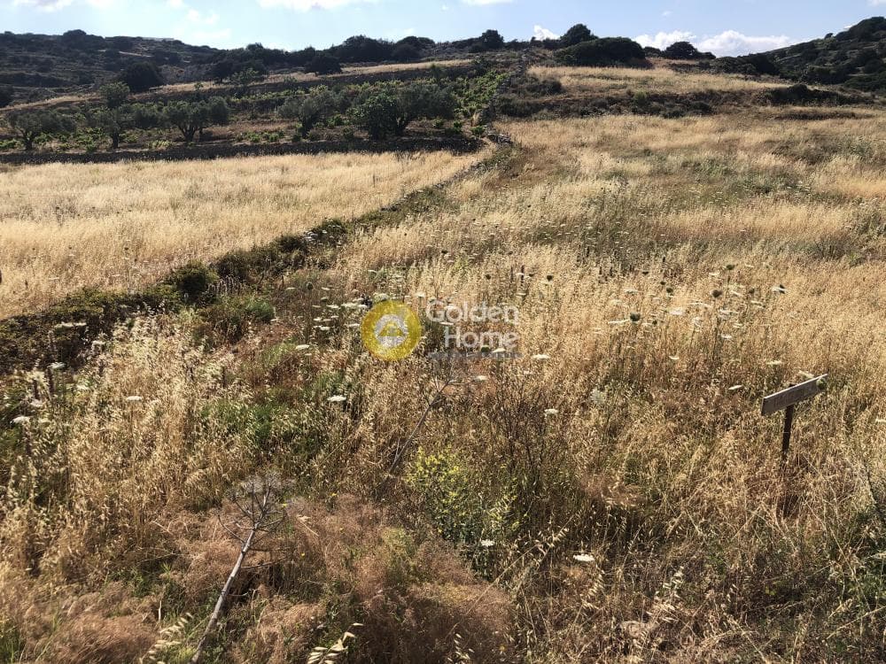 Οικόπεδο στην Κώστος, Πάρος — Φωτογραφία 3 από 5