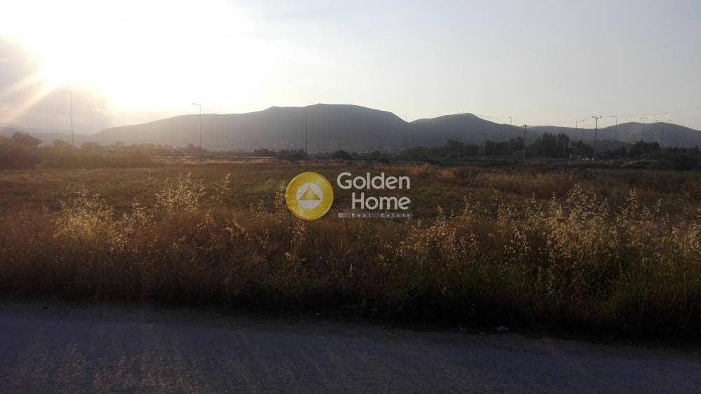 Αγροτεμάχιο στην Άγιος Παντελεήμονας, Νέα Μάκρη — Φωτογραφία 1 από 7