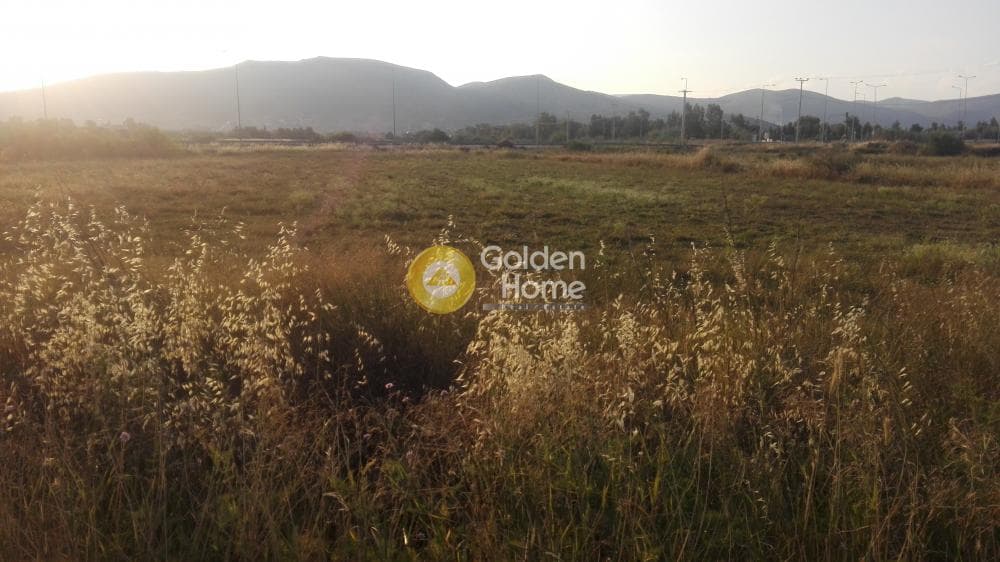 Αγροτεμάχιο στην Άγιος Παντελεήμονας, Νέα Μάκρη — Φωτογραφία 4 από 7