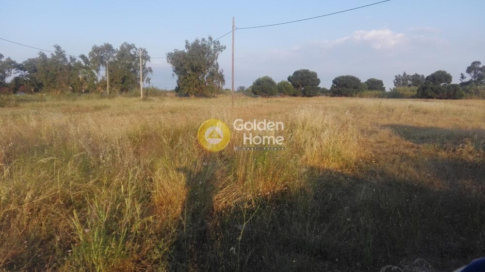 Αγροτεμάχιο στην Άγιος Παντελεήμονας, Νέα Μάκρη — Φωτογραφία 5 από 7
