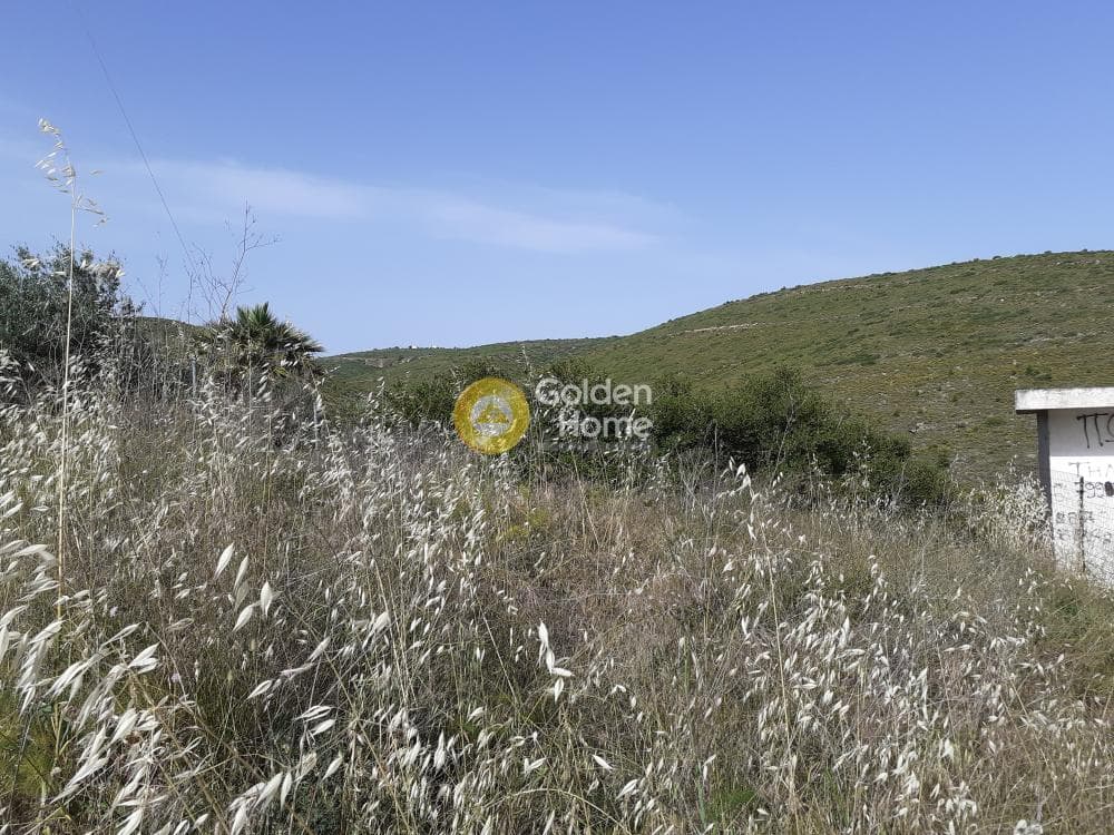 Building Plot in Anthousa, Anthoisa — Photo 3 of 3