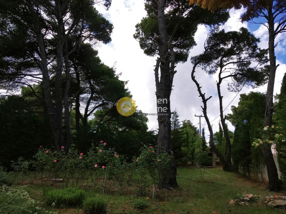 Οικόπεδο στην Δροσοπηγή, Αφίδνες — Φωτογραφία 10 από 15