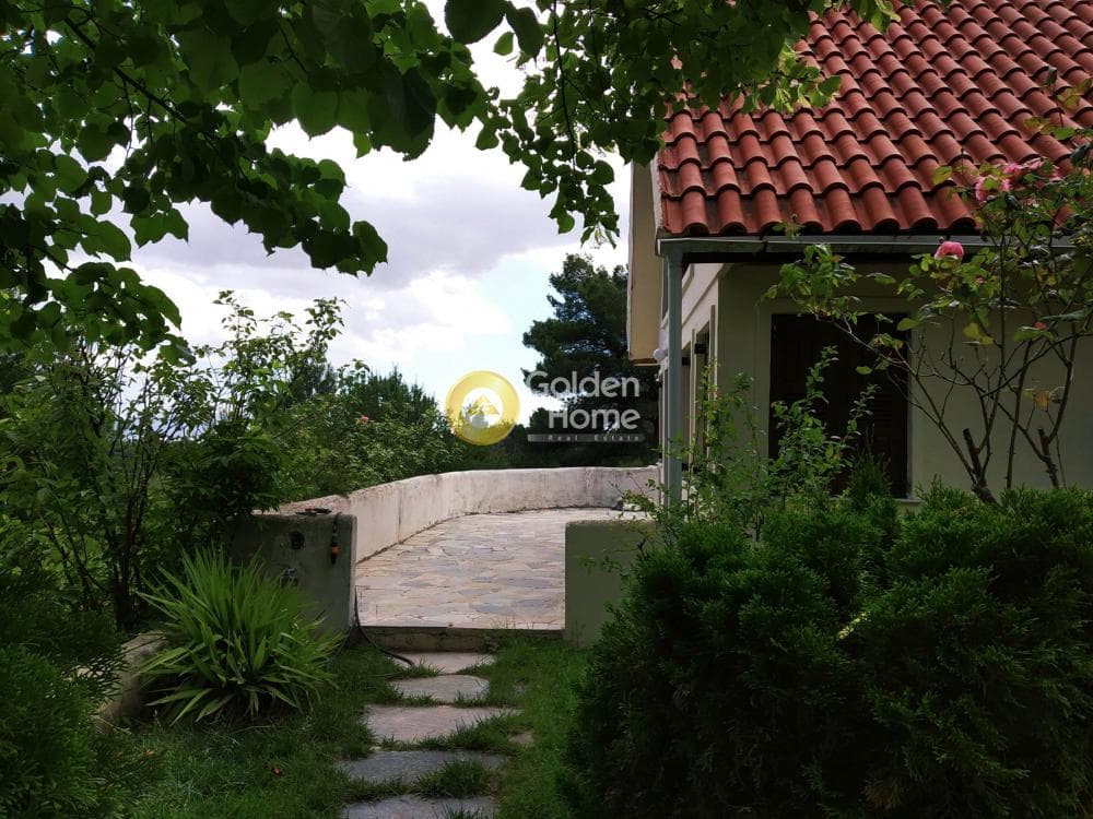 Οικόπεδο στην Δροσοπηγή, Αφίδνες — Φωτογραφία 6 από 15