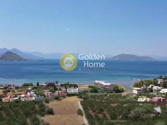 Building Plot in Marathonas, Aegina — Photo 1 of 2