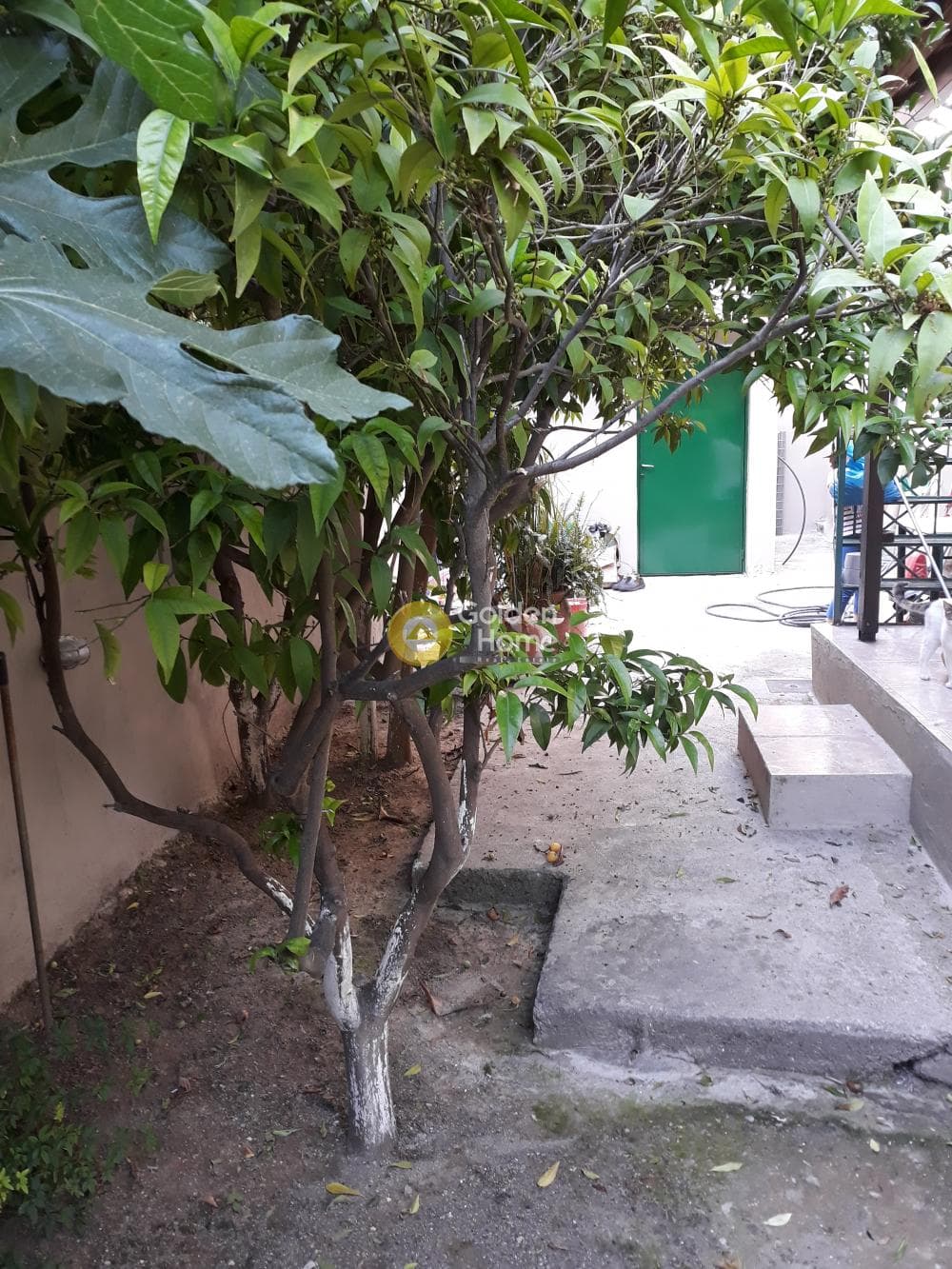 Μονοκατοικία στην Παλατιανή, Ίλιον — Φωτογραφία 2 από 13
