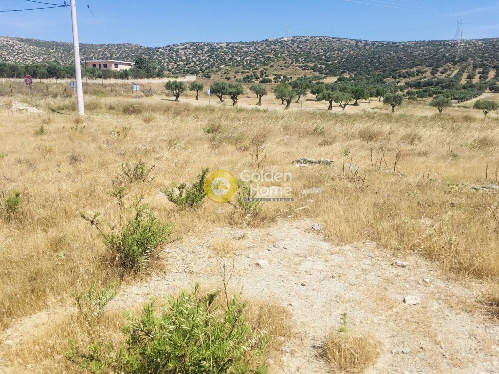 Αγροτεμάχιο στην Μητροπήσι, Κερατέα — Φωτογραφία 2 από 10
