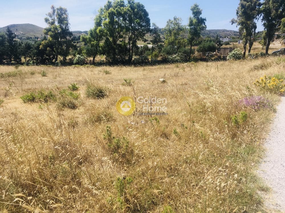 Αγροτεμάχιο στην Μητροπήσι, Κερατέα — Φωτογραφία 3 από 10