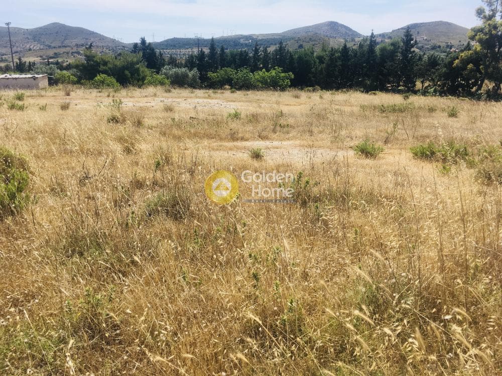 Αγροτεμάχιο στην Μητροπήσι, Κερατέα — Φωτογραφία 4 από 10