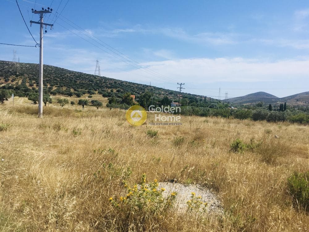 Αγροτεμάχιο στην Μητροπήσι, Κερατέα — Φωτογραφία 5 από 10