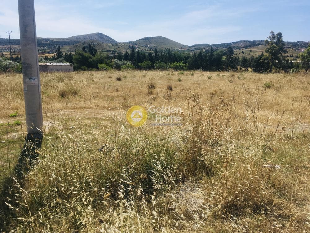 Αγροτεμάχιο στην Μητροπήσι, Κερατέα — Φωτογραφία 1 από 10