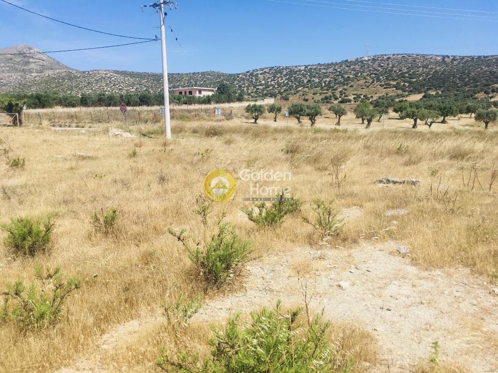 Αγροτεμάχιο στην Μητροπήσι, Κερατέα — Φωτογραφία 7 από 10