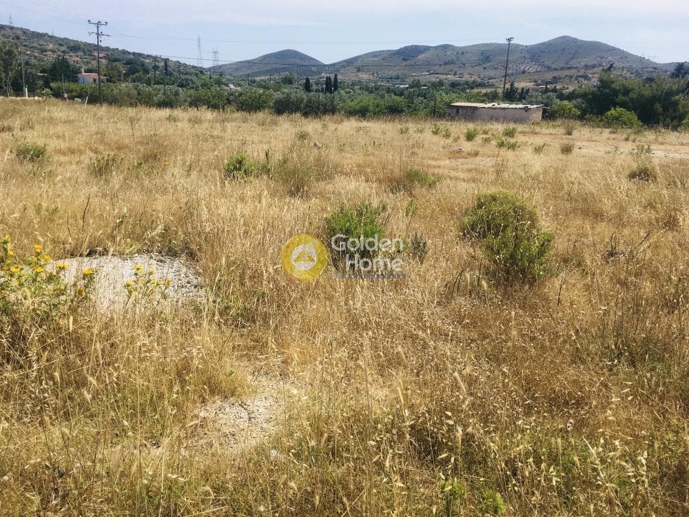 Αγροτεμάχιο στην Μητροπήσι, Κερατέα — Φωτογραφία 8 από 10