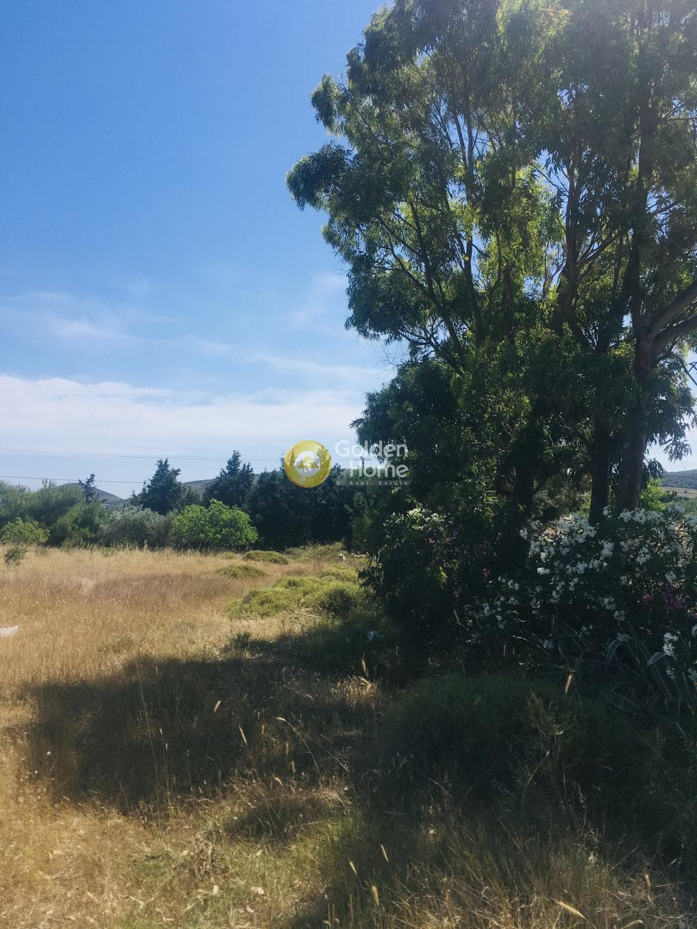 Αγροτεμάχιο στην Μητροπήσι, Κερατέα — Φωτογραφία 9 από 10