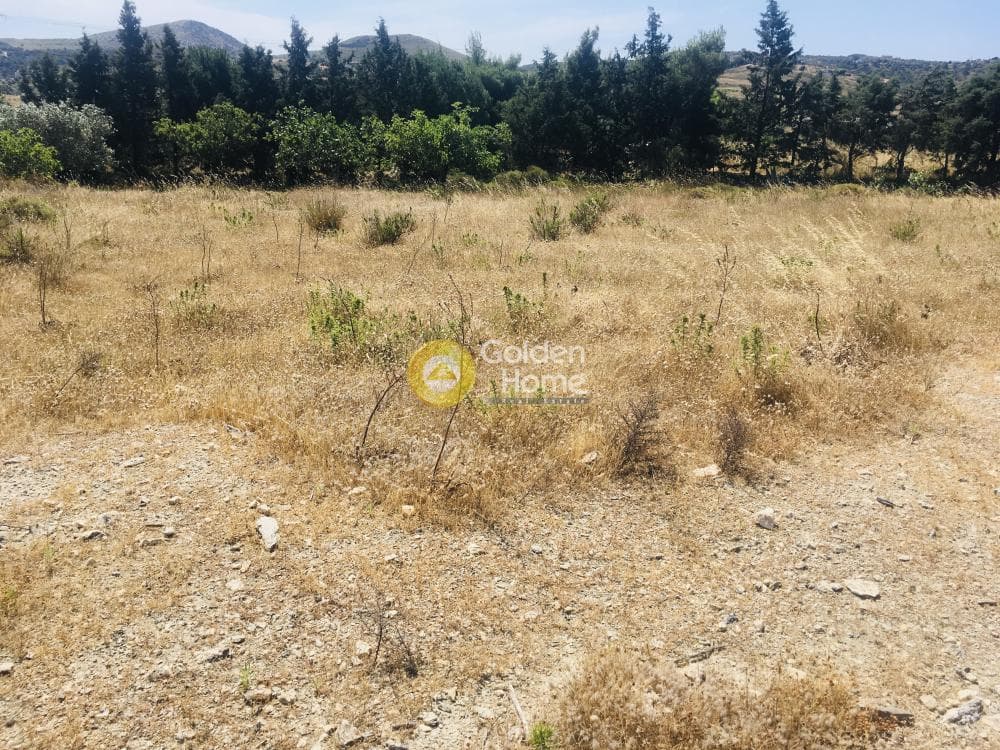 Αγροτεμάχιο στην Μητροπήσι, Κερατέα — Φωτογραφία 10 από 10