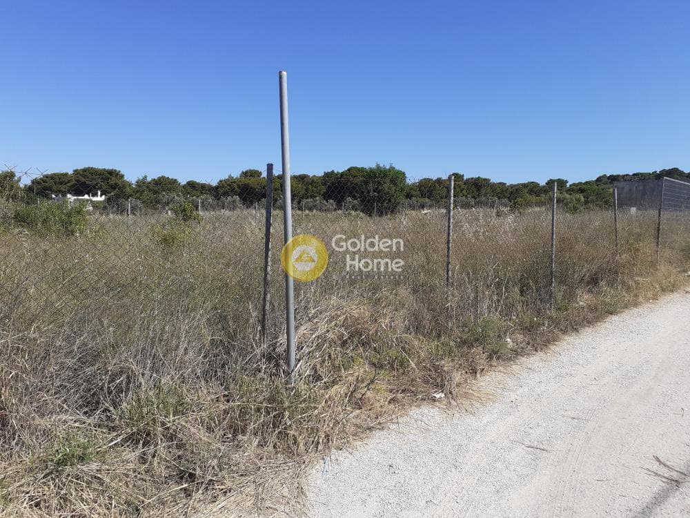 Building Plot in Neapoli, Spata — Photo 5 of 6
