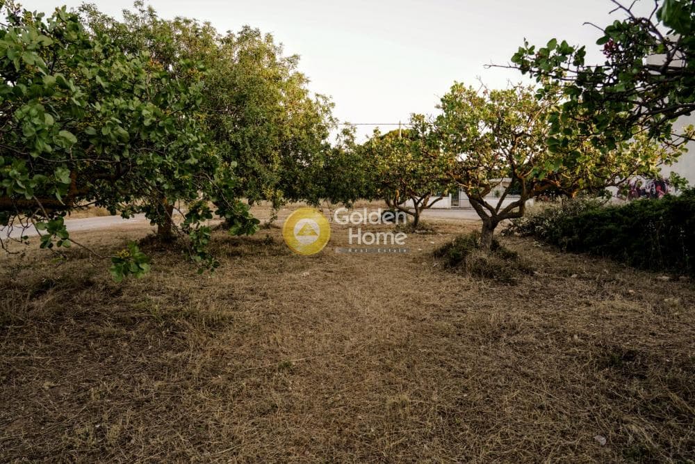 Building Plot in Center, Artemida (Loutsa) — Photo 3 of 5