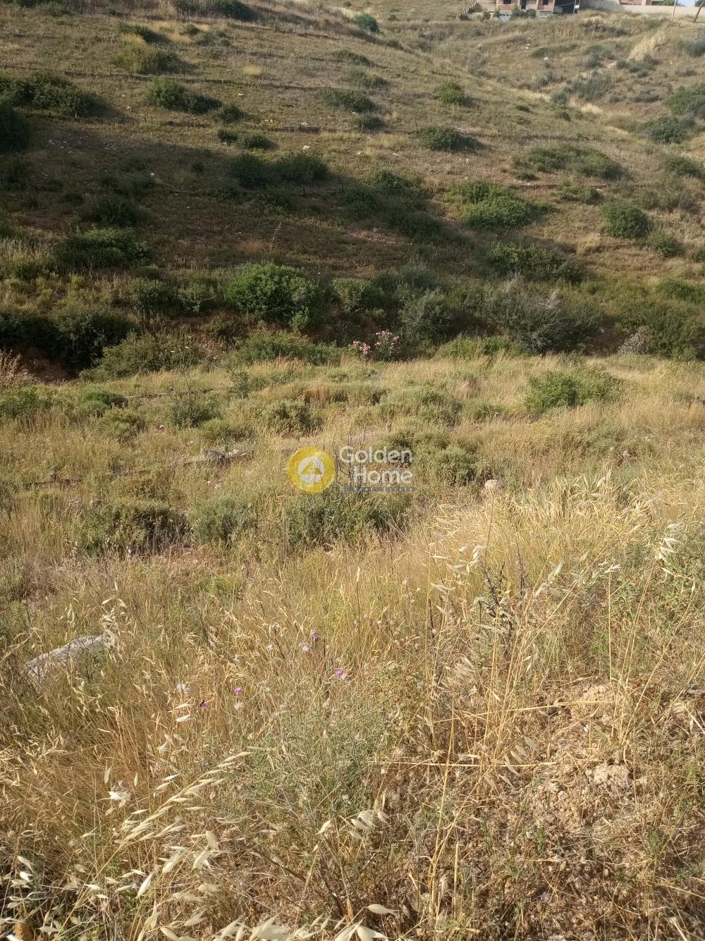 Οικόπεδο στην Νέος Βουτζάς - 1η Είσοδος, Ραφήνα — Φωτογραφία 5 από 12