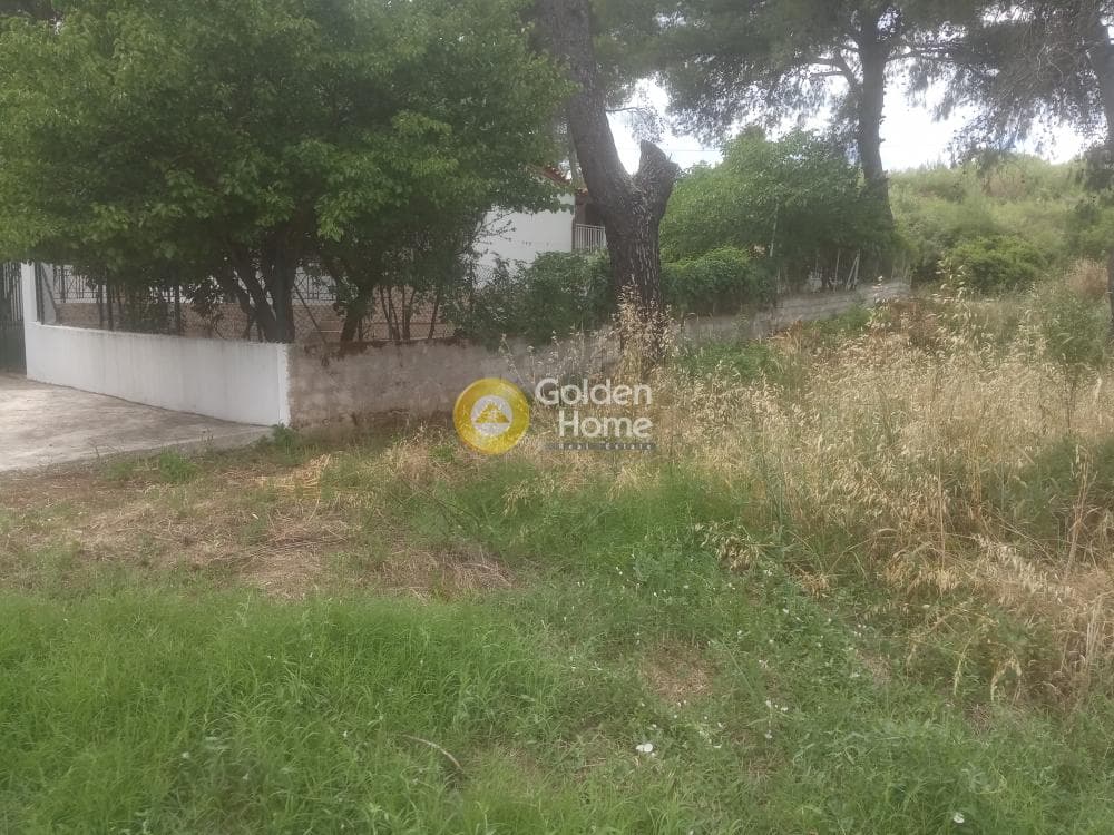 Parcel in Prokonnisos, Stamata — Photo 2 of 5
