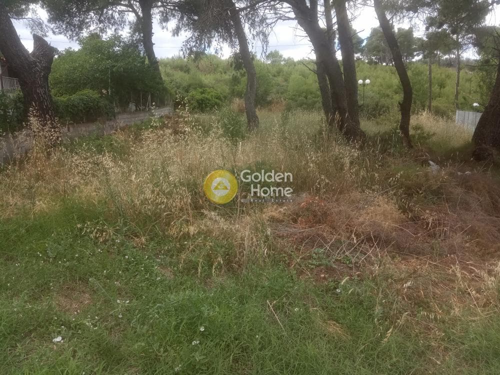 Parcel in Prokonnisos, Stamata — Photo 5 of 5