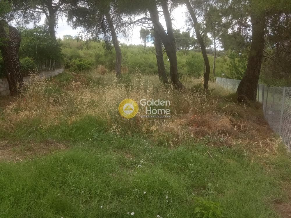 Parcel in Prokonnisos, Stamata — Photo 4 of 5