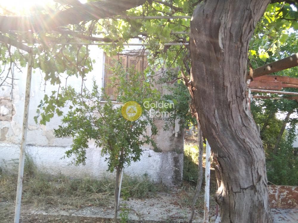 Οικόπεδο στην Αδάμες (Οικισμός Γράμμος - Φοίνικας), Κηφισιά — Φωτογραφία 7 από 12