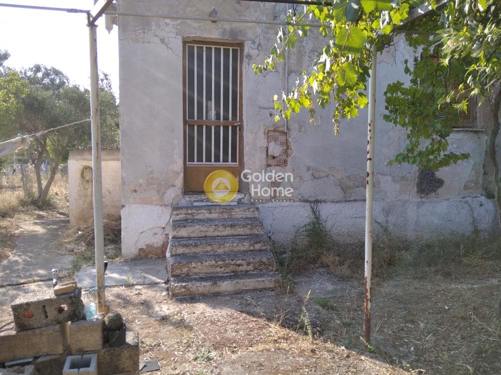 Οικόπεδο στην Αδάμες (Οικισμός Γράμμος - Φοίνικας), Κηφισιά — Φωτογραφία 8 από 12