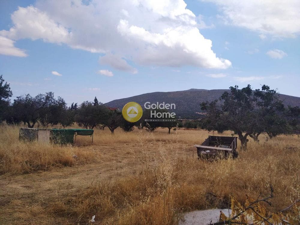 Parcel in Kalivia, Kalivia Thorikou — Photo 1 of 4