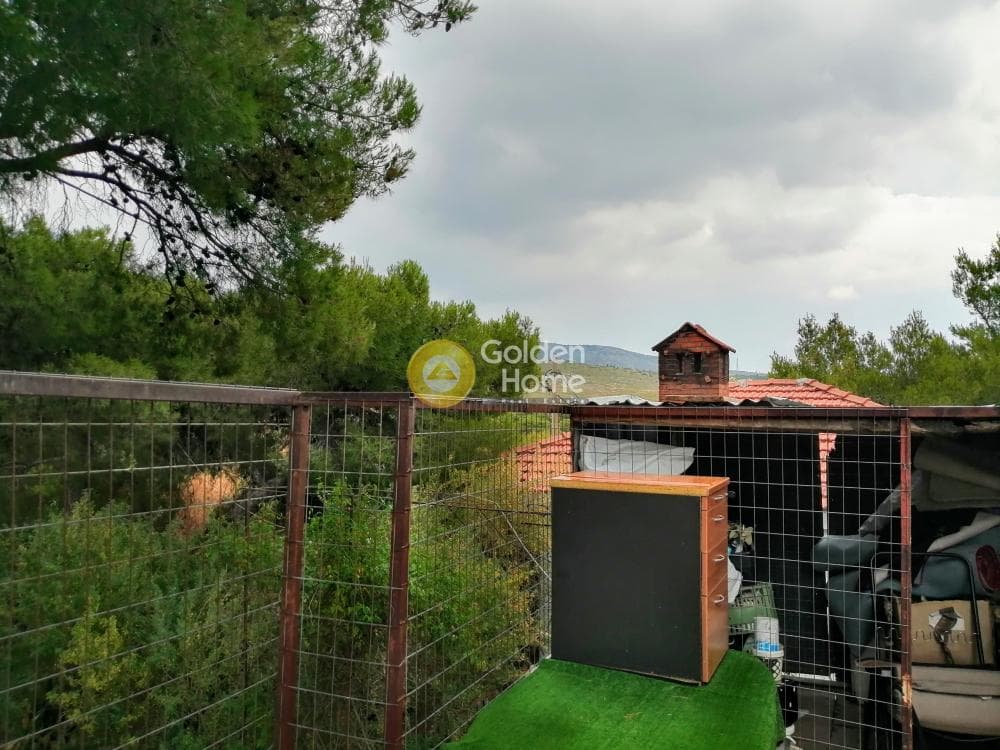 Μονοκατοικία στην Κεφαλάρι, Κηφισιά — Φωτογραφία 12 από 14